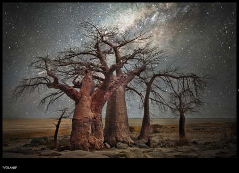 Beth Moon, baobab, Botswana